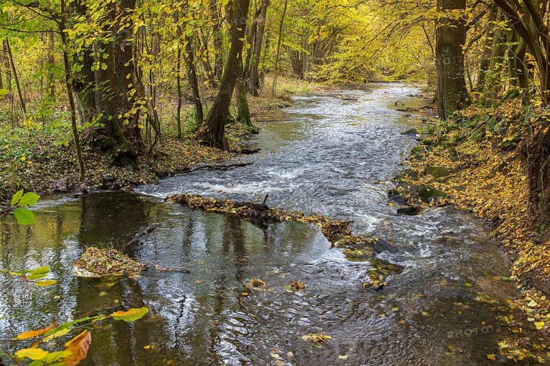 Buchenberg, Thuringia, Weidatal, autumn, extensive forestry, autumn, landscape, deciduous forest, nature reserve, Vogtland