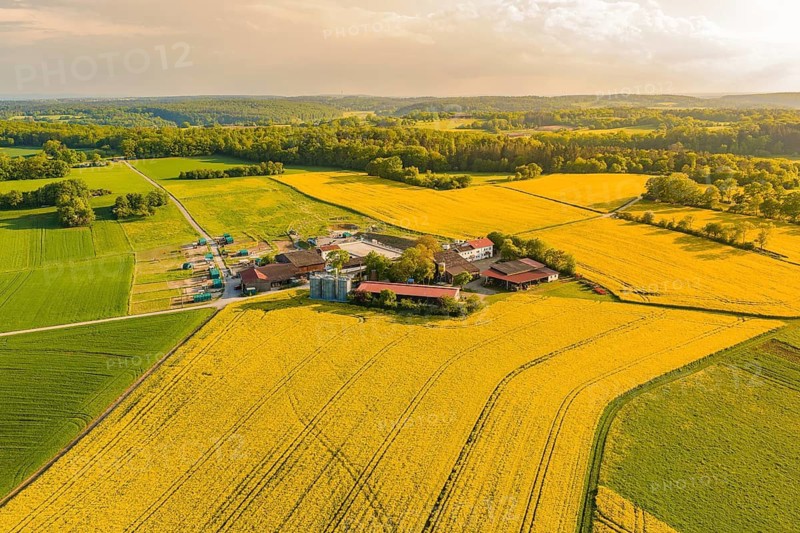 View of a farm surrounded by yellow and green fields under a wide sky, Gechingen, Hecken and Gäu region, Landreis Calw, Germany