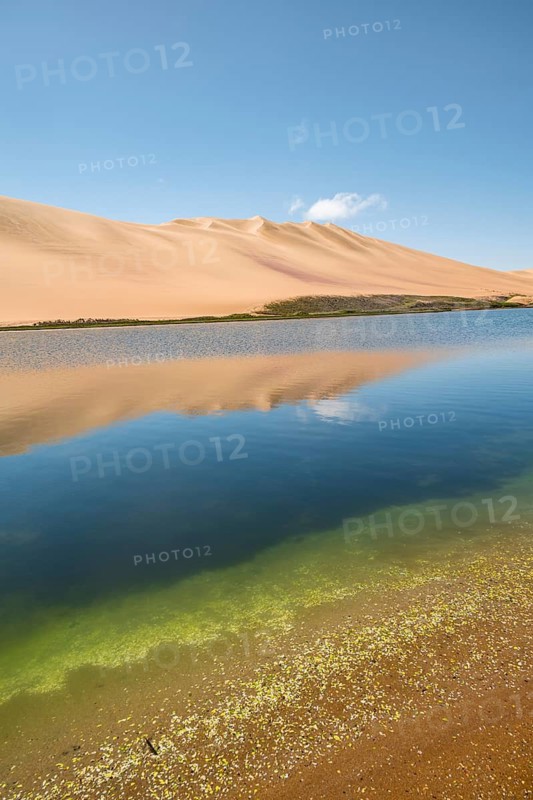 Sand dunes are reflected in Sandwich Harbour Lagoon, Impressive Desert Landscape, Namib Naukluft Park, Namib Desert, Namibia