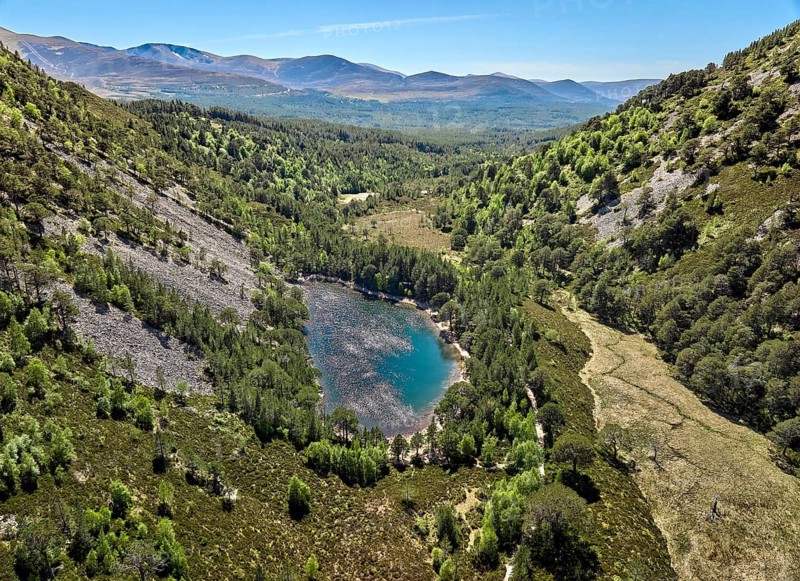 Drone photo of the highlands with lake in the Glenmore Forest Park, part of Cairn Gorms National Park, Aviemore, Scotland, UK