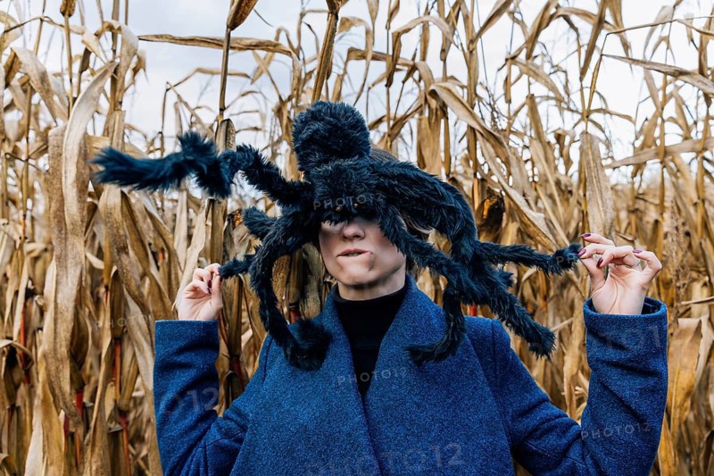 Huge black toy spider on a woman's head in a cornfield during a Halloween party in a cornfield