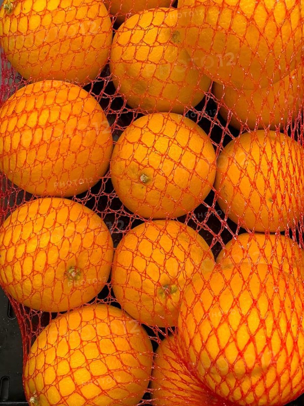 Oranges (Citrus sinensis) oranges fruit in plastic net bag plastic net in display of grocery store food retailer, international