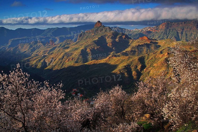 Canary Islands, Gran Canaria, Parque Rural del Nublo, Gran Canaria, Canary Islands, Spain