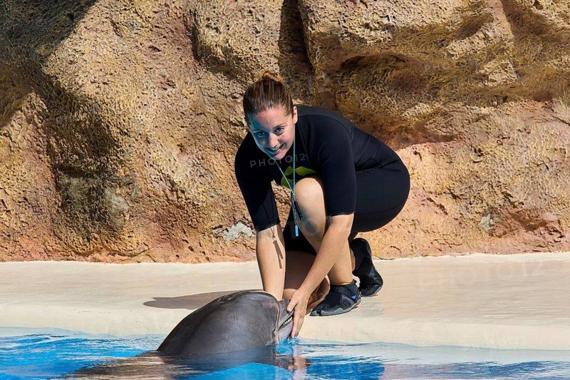 A woman in a wetsuit plays with a dolphin at the edge of the pool, Dolphin, Dolphin (Delphinidae), Dolphin show, Loro Parque, Puerto de la Cruz, Tenerife, Canary Islands, Spain