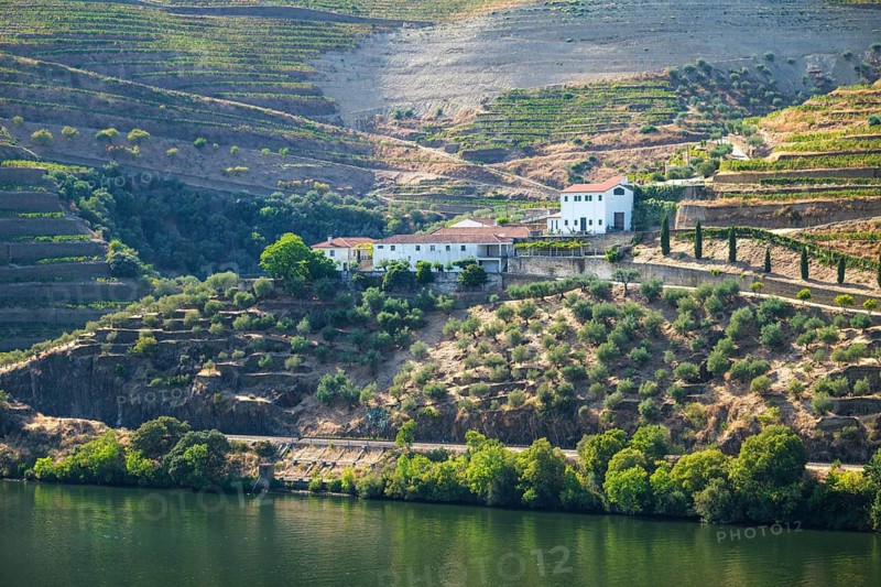 Quinta winery buildings in the Douro Valley stand on terraced vineyards above the river, showing stone walls, cypress accents and cultivated slopes in Portugal wine country