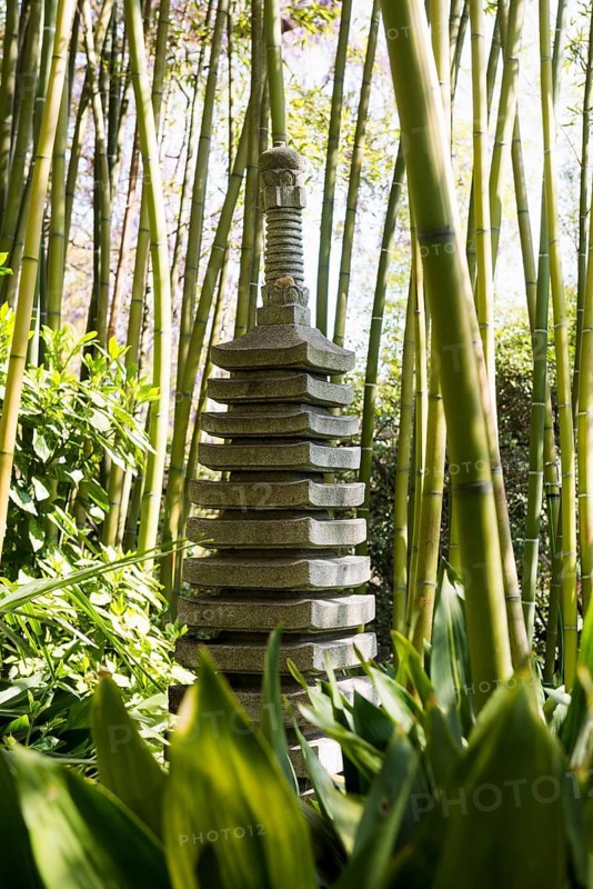 Botanical Garden with Sculptures in Spring, Bamboo Forest, Light Garden, Andre Heller, Gardone Riviera, Lake Garda, Province of Brescia, Lombardy Region, Italy