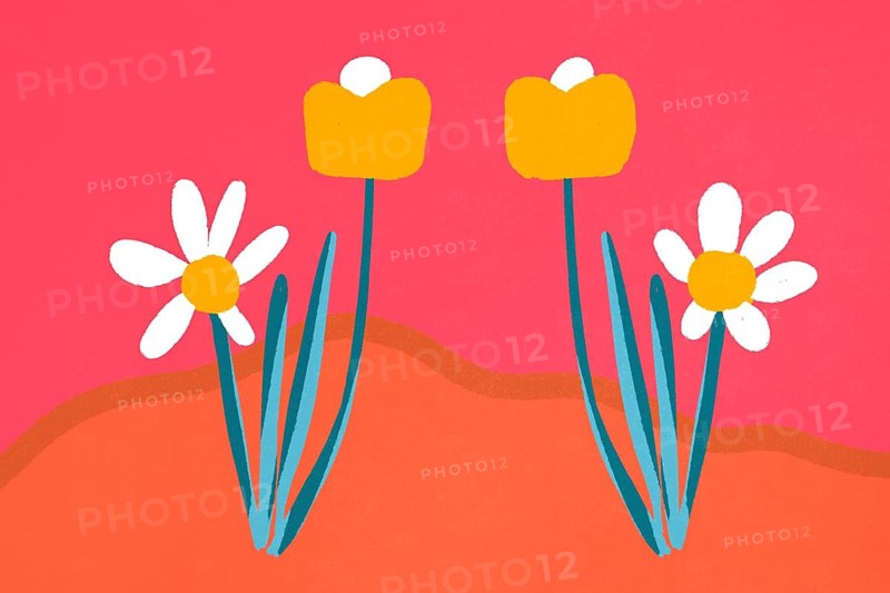 A cheerful and vibrant floral illustration featuring stylized blue and yellow flowers against a soft pink background