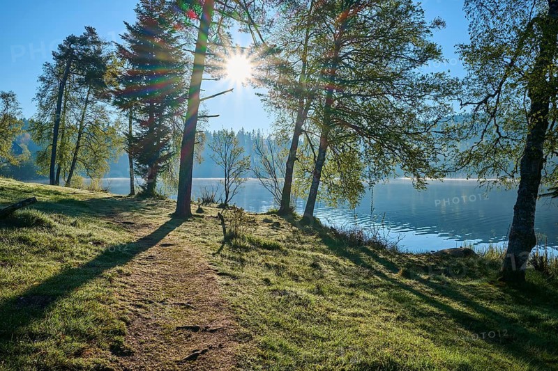 Sunbeams through trees, picturesque path along a quiet lake, Windgfällweiher, Lenzkirch, Black Forest, Breisgau Hochschwarzwald, Baden-Württemberg, Germany