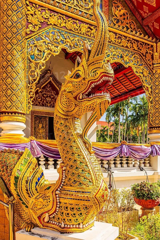 Decorated dragon figure in front of a prayer hall in the Wat Phra Singh Buddhist temple complex, Chiang Mai Old City Center, Chiang Mai Province, Thailand