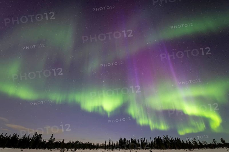 Northern Lights (Aurora borealis), Muddus National Park, Laponia World Heritage Site, Norrbotten, Lapland, Sweden, April 2025