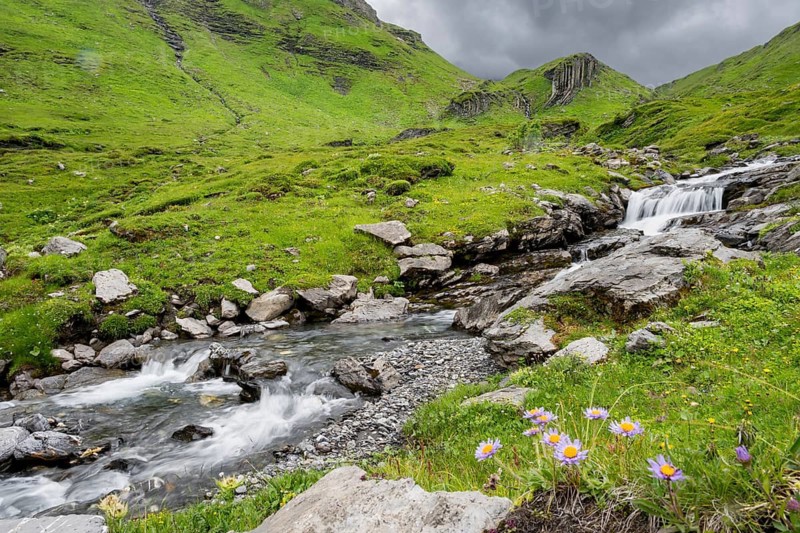 Bergbach Sousbach flows through picturesque green mountain landscape with flower meadow, long exposure, Bernese Alps, Bernese Oberland, Switzerland