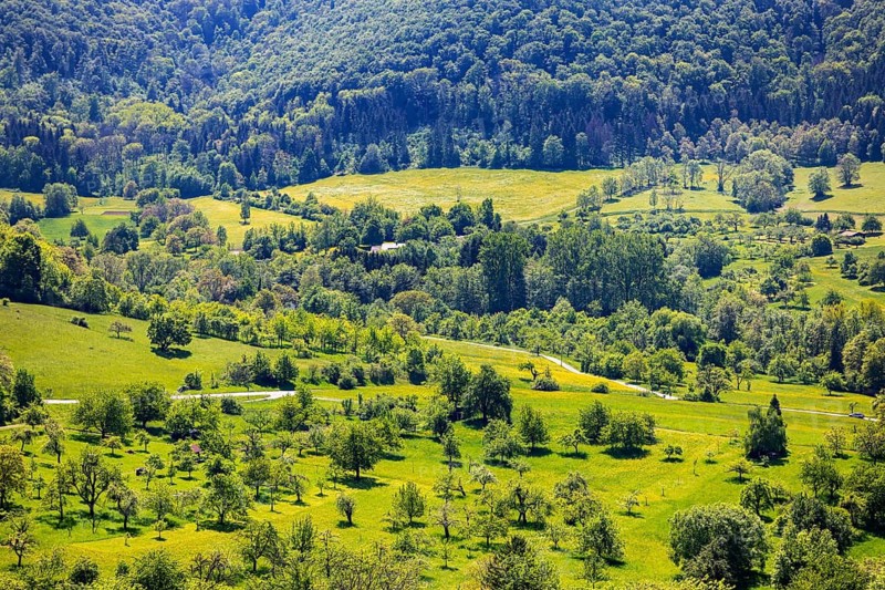 Spring in the Swabian Jura. Orchards on the Albtrauf near Neuffen. Neuffen, Baden-Württemberg, Germany