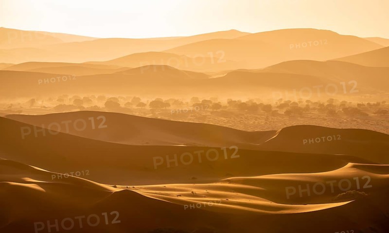 Back light, silhouettes in the desert, Namib sand dunes, Namib Desert, Namib-Naukluft National Park, Namibia