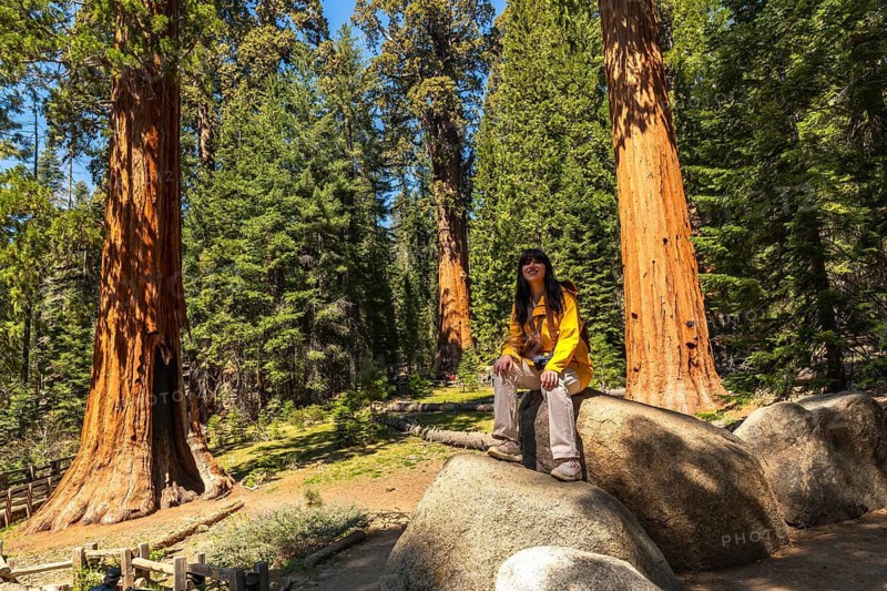 Young woman sitting on a rock, experiencing the vast forest while visiting sequoia national park, enjoying the peaceful environment and monumental trees on a sunny day