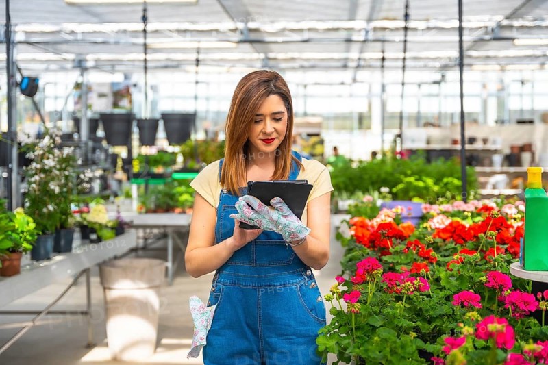 Woman wearing overalls and gardening gloves standing in a commercial greenhouse, diligently checking plant inventory and flower varieties on a digital tablet