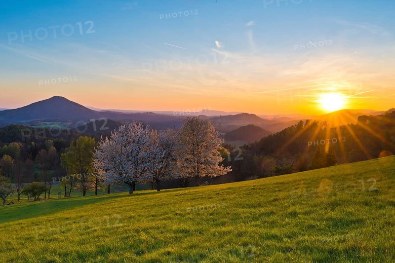 View of Ružák, Rosenberg, across the spring-like Bohemian Switzerland with blooming fruit trees, cherry trees, Rynartice, Bohemian Switzerland National Park, Czech Republic