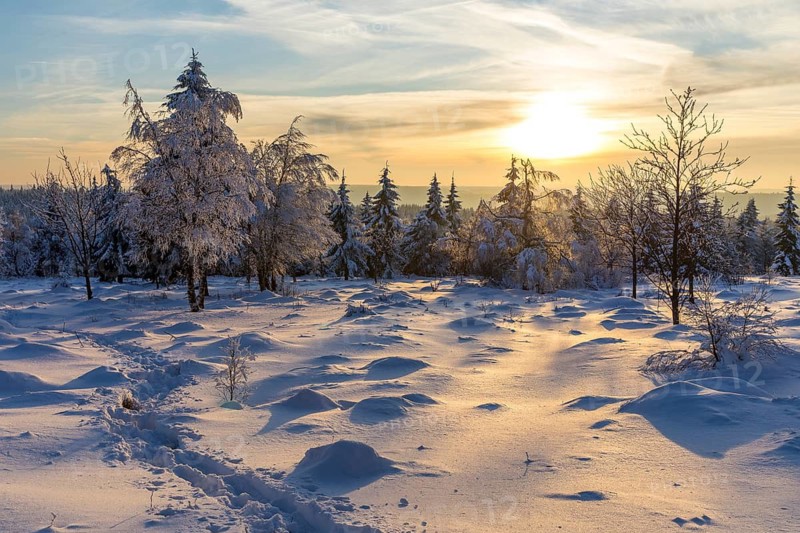 Winter landscape with snow-covered trees and branches covered with hoarfrost on the Erzgebirgskridge at sunset, Zinnwald-Georgenfeld, Altenberg, Osterzgebirge, Saxony, Germany