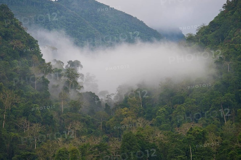 Clouds, fog in mountain rain forest near the village of Muang Ngoi on the Nam Ou River, Phongsali province, Laos