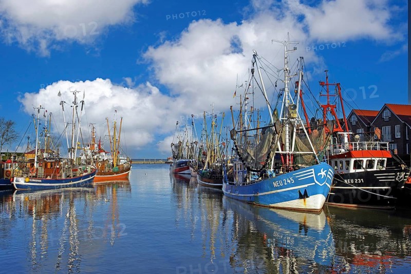 Der Hafen von Neuharlingersiel, East Frisia, fishing boats, crab cutters, Neuharlingersiel, Lower Saxony, Federal Republic of Germany