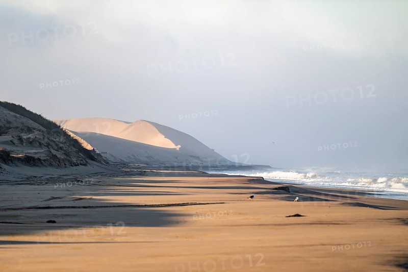 Atlantic coast, sandy beach and sand dunes, desert landscape and sea, Namib Naukluft Park, Namib Desert, Namibia