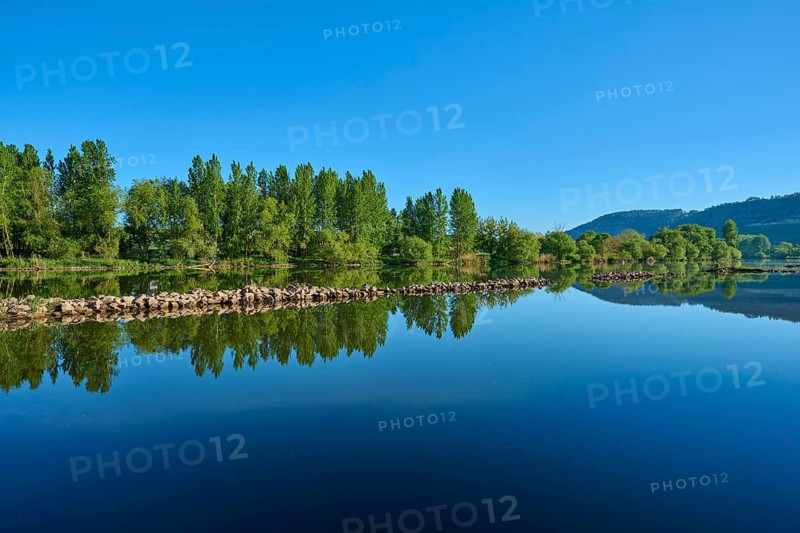 Landscape with clear water and trees, a quiet natural environment, Marktheidenfeld, Homburg am Main, Triefenstein, Main-Spessart district, Spessart, Mainfranken, Lower Franconia, Bavaria, Germany