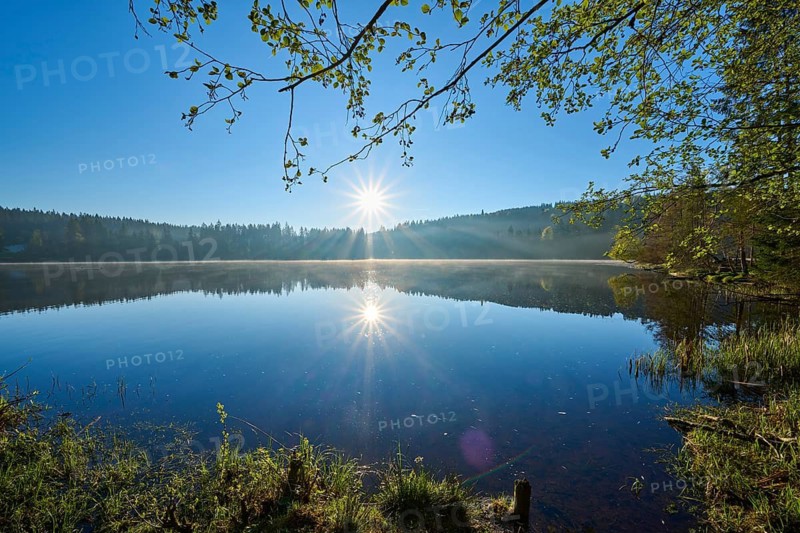 A bright sunrise is reflected in a still, peaceful lake, Windgfällweiher, Lenzkirch, Black Forest, Breisgau Hochschwarzwald, Baden-Württemberg, Germany