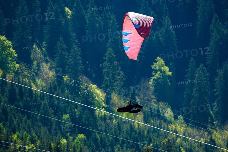 A paraglider flies over a wooded slope, risk of falling, ropes of a cable car, Schwangau, Ostallgäu, Allgäu, Swabia, Upper Bavaria, Germany