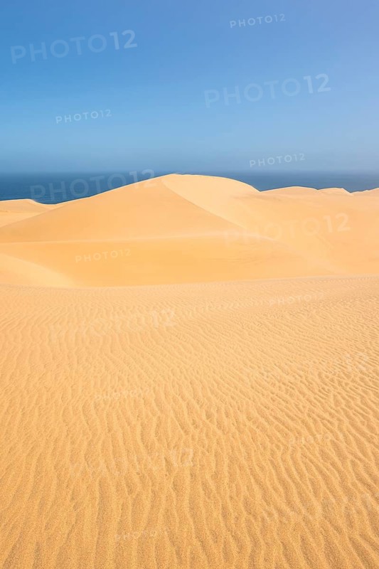Sand dunes with wave patterns, dune sea, sandy desert, impressive desert landscape, Namib Naukluft Park, Namib desert, Namibia