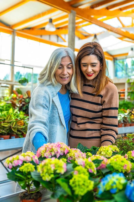 Smiling mother and adult daughter choose colorful potted hydrangeas and flowering plants together in a bright greenhouse nursery, enjoying a leisurely family shopping outing
