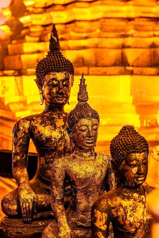 Gilded Buddha statues, Buddhist temple complex Wat Phra That Si Chom Thong, near Chiang Mai, Chiang Mai Province, Thailand