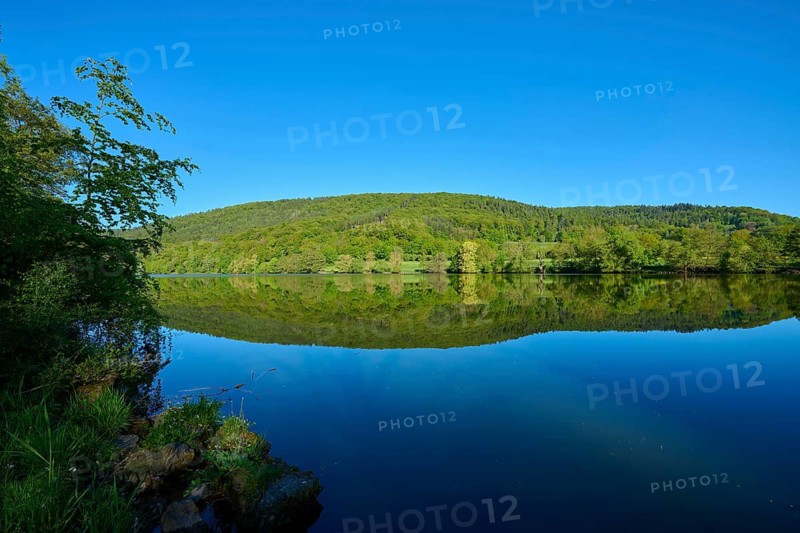 Tranquil landscape with a river reflecting the surrounding green vegetation and blue sky, Main, Lohr am Main, Main-Spessart district, Spessart, Mainfranken, Lower Franconia, Bavaria, Germany