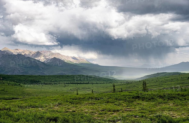 Tundra and mountain landscape with dramatic cloudy sky, Denali National Park, Alaska, USA