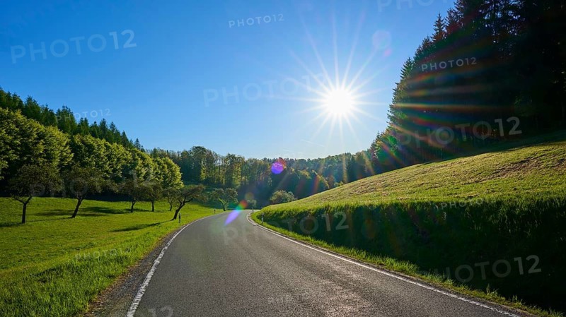 A winding country road under clear skies and bright sun, surrounded by green meadows and forests, skins, Main-Spessart district, Mainfranken, Lower Franconia, Bavaria, Germany