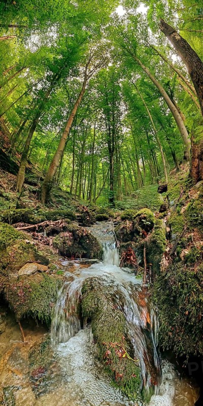 Small Werre Bach waterfall, in a lush green forest, surrounded by moss-covered stones, hiking in spring, Bad Blankenburg, Wildgatter hunting area, Schwarzatal nature reserve, Thuringian Forest nature park Park, Thuringian Slate Mountains