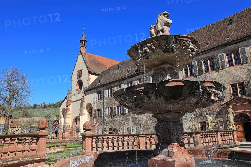 Bronnbach Abbey, Brunnbacensis Monasterium, later also Bronnbach Castle, a former Cistercian abbey founded in 1151, Tauber Valley, Reicholzheim, Main-Tauber district, Baden-Württemberg, Germany