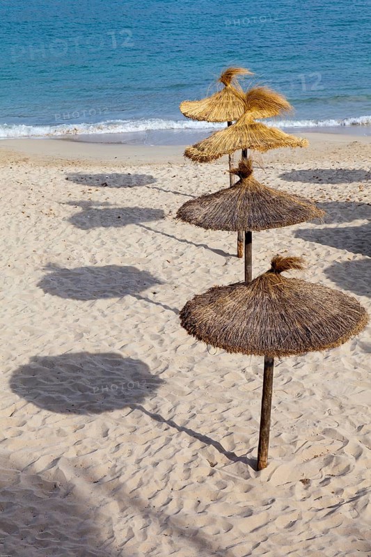 Straw umbrellas cast long shadows on a sunny sandy beach, Majorca, Balearic Islands, Spain