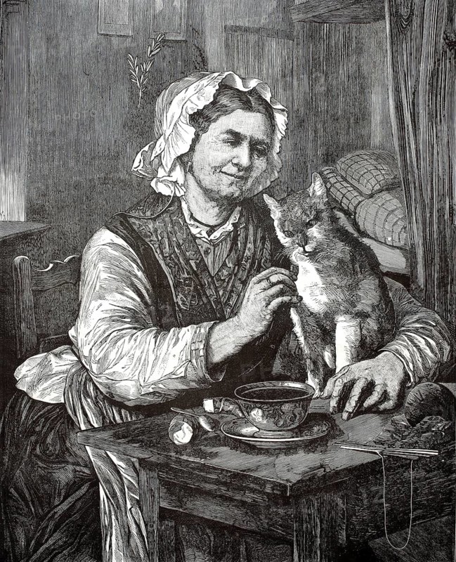 A happy smiling woman in traditional clothing and bonnet crawls or feeds a cat sitting on the table or on her lap, illustration, reproduction of a model from the 19th century. Authentic, file restored for optimal use, exact date of submission unknown, historical