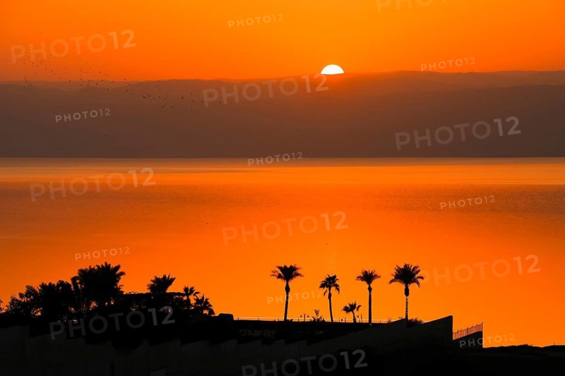 Dead Sea Jordan sunset vertical timelapse with orange glow, calm water reflection, palm silhouettes, peaceful travel mood, nature beauty, climate and water scarcity concept