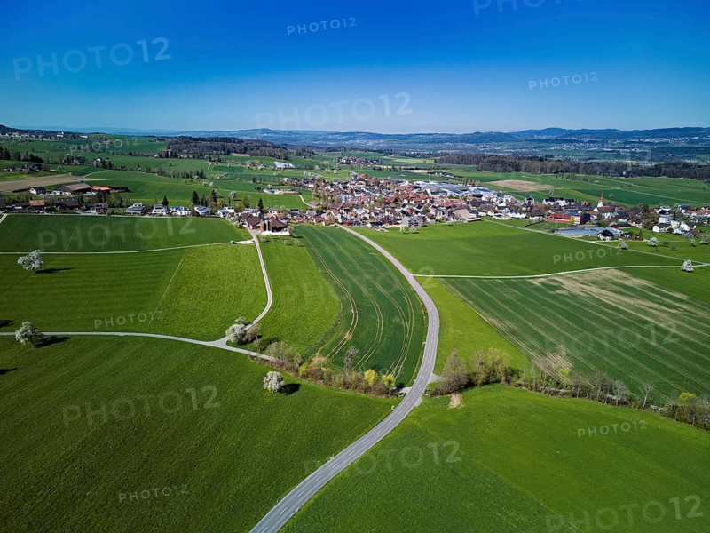 Blooming fruit trees behind the village, Auw, Freiamt, Canton Aargau, Switzerland