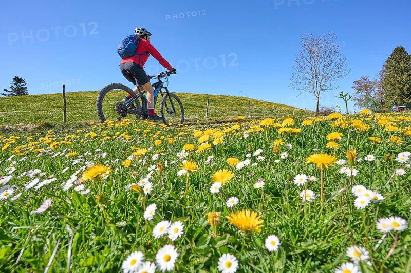 Pretty mid age woman riding her electric mountain bike in springtime, Allgaeu, Oberstaufen, Bavaria, Germany