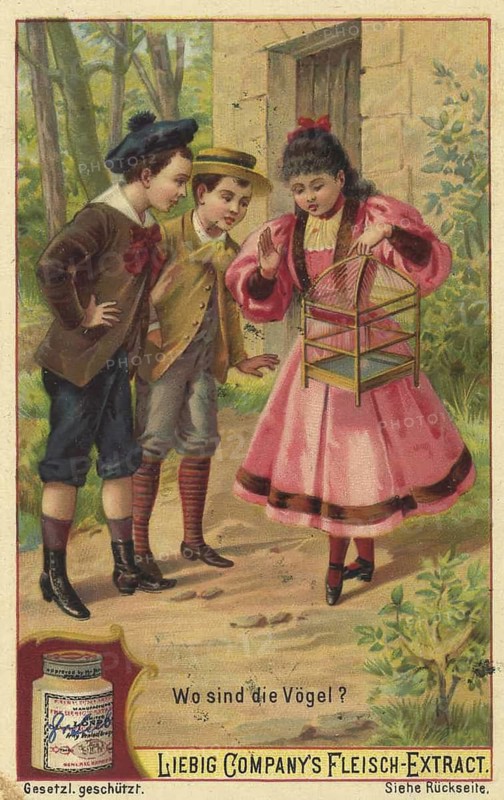 Picture series Search game puzzles, scene with the empty cage and the question Where are the birds?, Liebigbild, digitally restored reproduction of a collector's painting from around 1900, exact date unknown