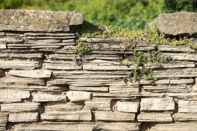 Cultivated landscape, dry-stone wall, cultural landscape, stone wall, dry stone wall
