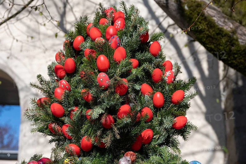 Red colored chicken eggs on an Easter bouquet at an Easter fountain, tradition in Franconia, Kirchrüsselbach, Middle Franconia, Bavaria, Germany