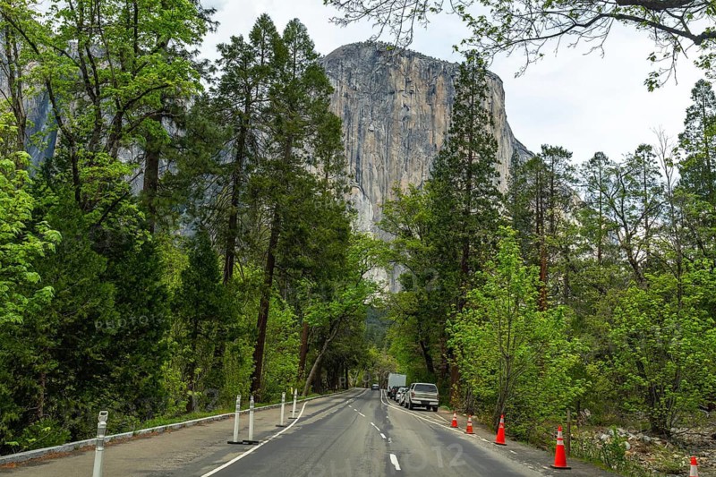 Yosemite valley road winding through lush spring forest toward el capitans towering granite face under a cloudy sky, parked cars on the shoulder hinting at travel and exploration