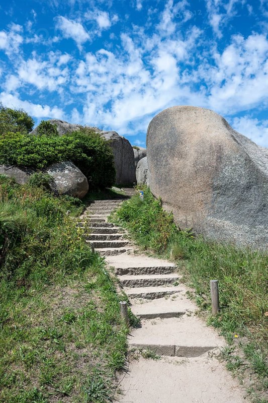 A stone staircase snakes through monumental pink granite rock formations cut around by nature on a picturesque coastal landscape. A narrow hiking trail leads past green vegetation under a blue sky with white sheep clouds. It shows a section of the famous customs officer trail on the Breton coast, Ploumanac'h, Perros-Guirec, Trégastel, Côtes-d'Armor department, Brittany region, France