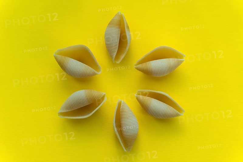 Yellow large conchiglioni pasta in the shape of shells on a yellow background