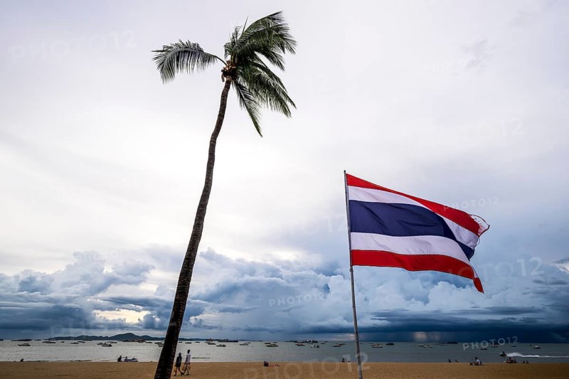 Sandy beach beach, palm tree and Thailand flag, Pattaya, Thailand