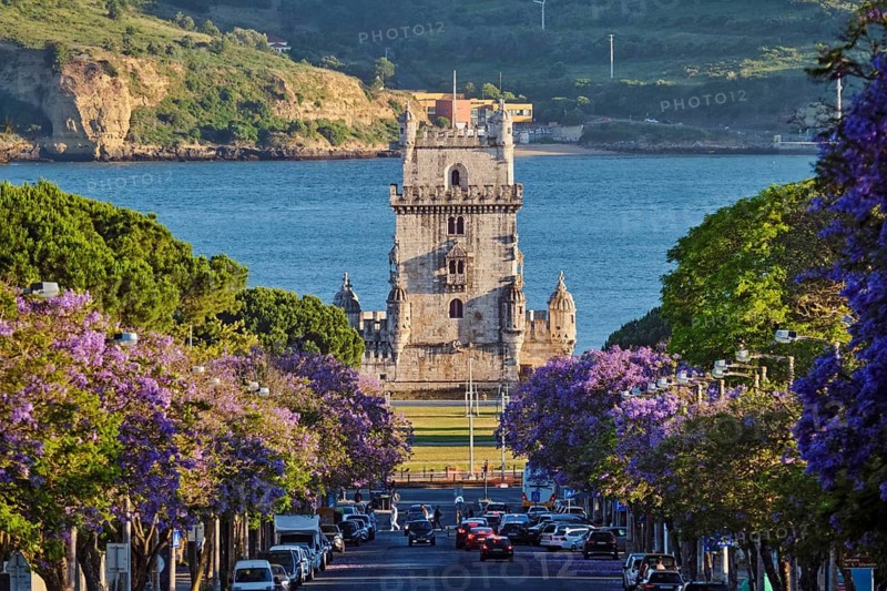 Enjoy a scenic sunset view of Belem Tower overlooking the Tagus River, surrounded by vibrant jacaranda trees in full bloom. Belem, Lisbon, Portugal