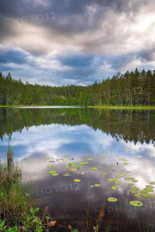 View over Lake Ongeltjørn, Telemark, Norway