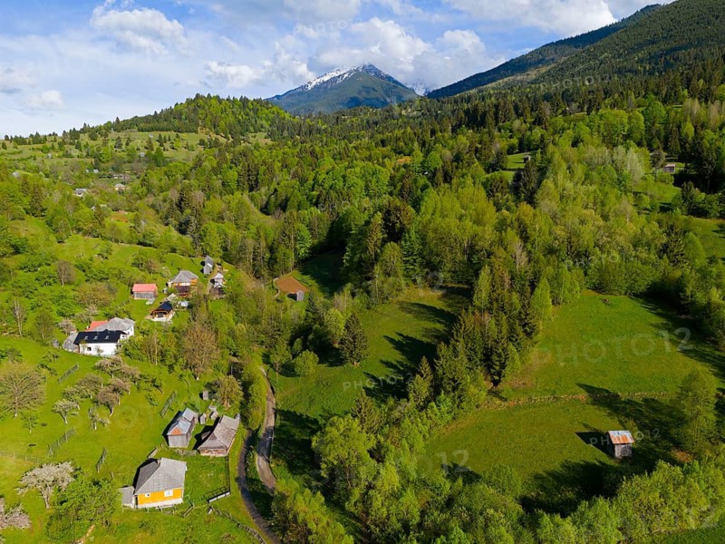 Green hill and forest landscape with scattered houses and mountainous background in sunny weather, aerial view, landscape near Moisei monastery, Maramure?, Maramures, Maramures region, Romania